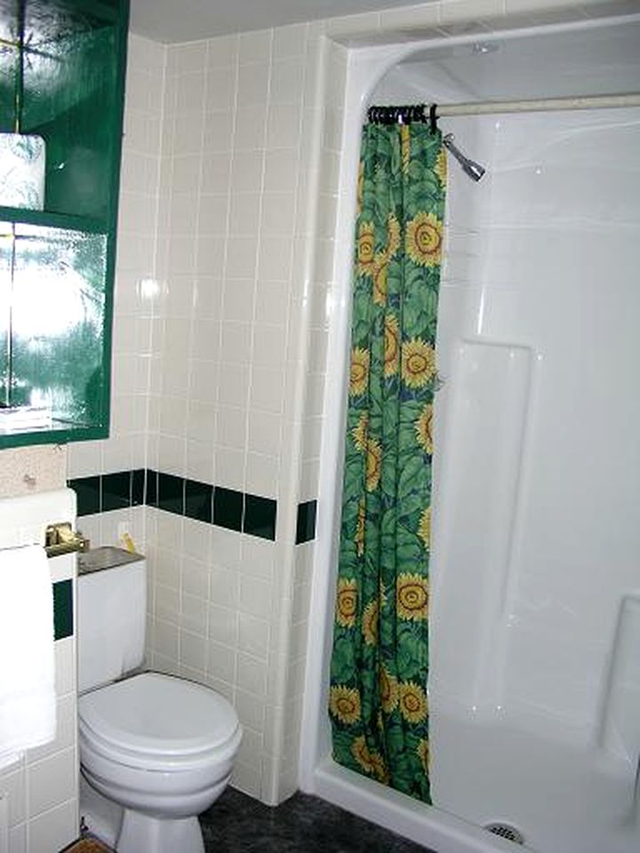 Pet-Friendly Log Cabin Rental for a Bucolic Getaway in Lake City, Colorado