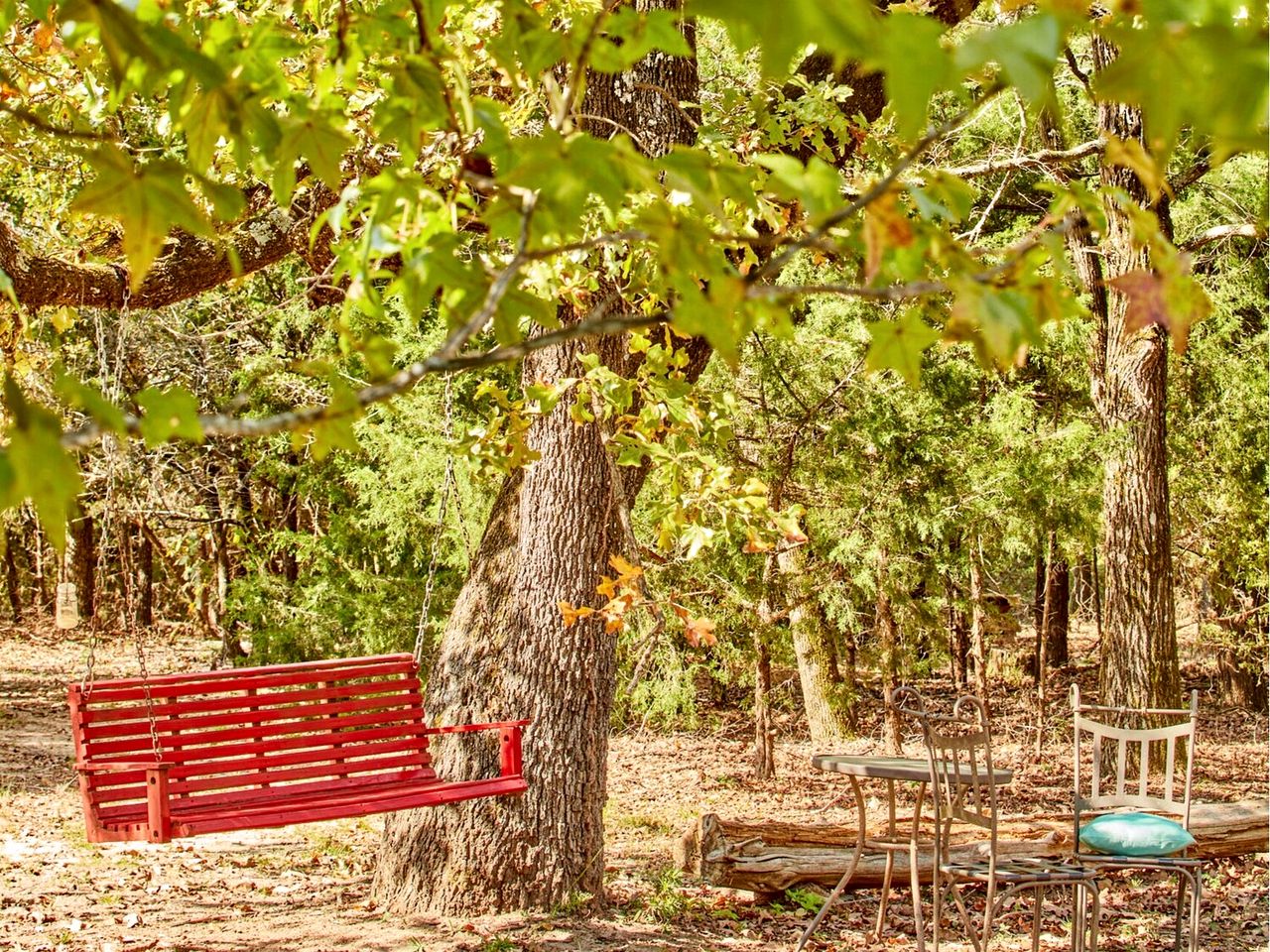 Gorgeous Multi-Unit Cabin Rental for Larger Groups Nestled in the Trees for an Unforgettable Getaway in Nature in Ben Wheeler, Texas