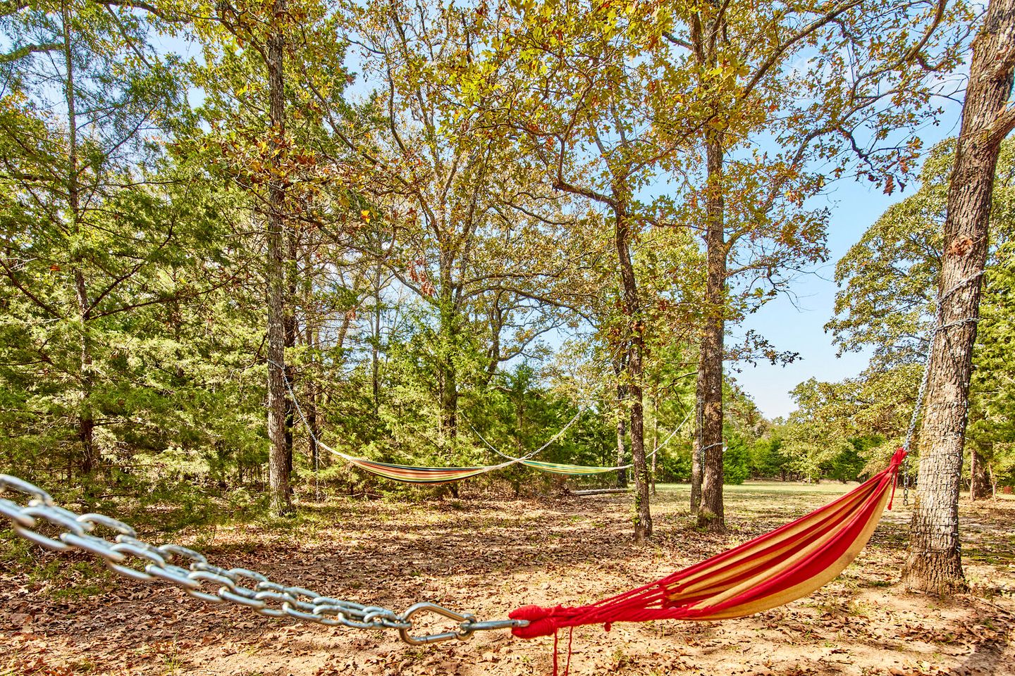 Gorgeous Multi-Unit Cabin Rental for Larger Groups Nestled in the Trees for an Unforgettable Getaway in Nature in Ben Wheeler, Texas