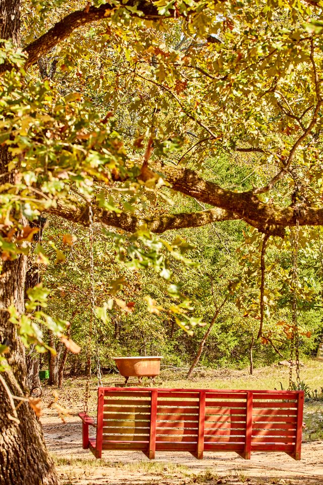 Gorgeous Multi-Unit Cabin Rental for Larger Groups Nestled in the Trees for an Unforgettable Getaway in Nature in Ben Wheeler, Texas