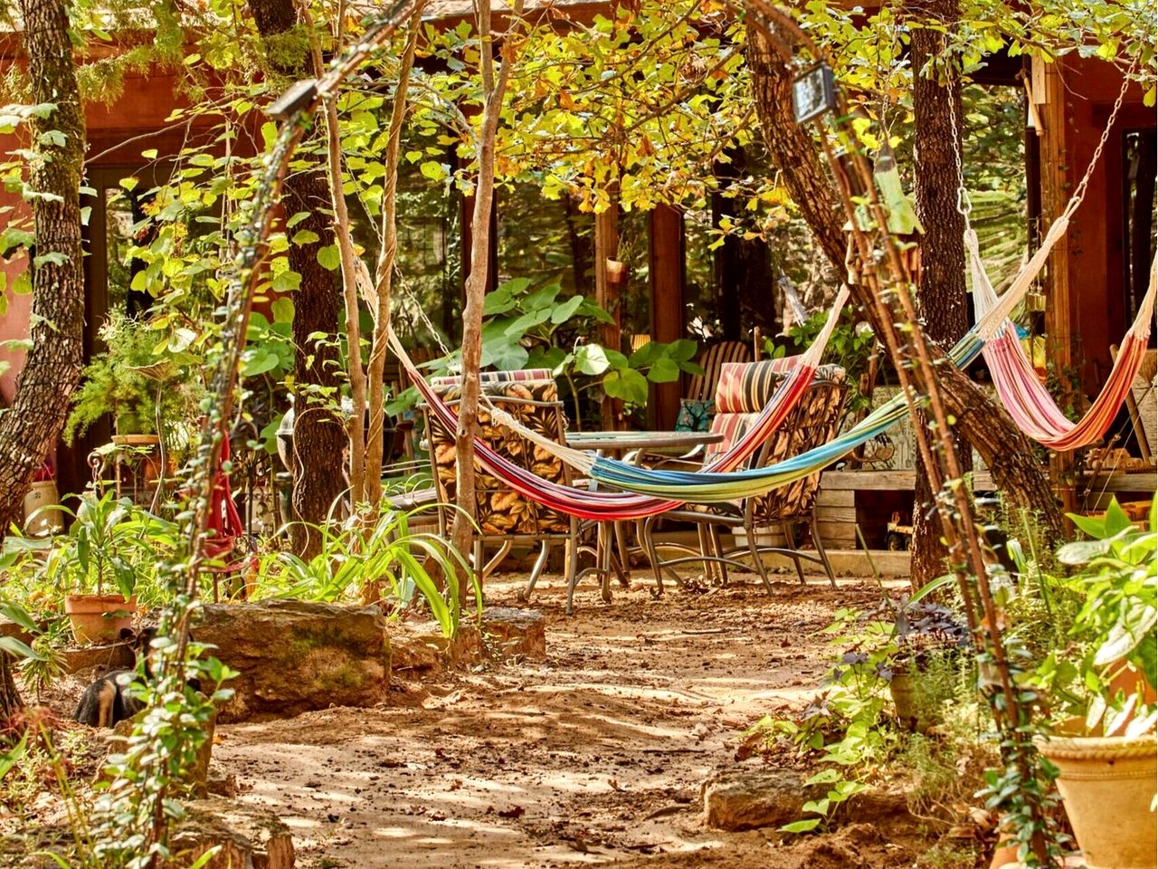 Gorgeous Multi-Unit Cabin Rental for Larger Groups Nestled in the Trees for an Unforgettable Getaway in Nature in Ben Wheeler, Texas