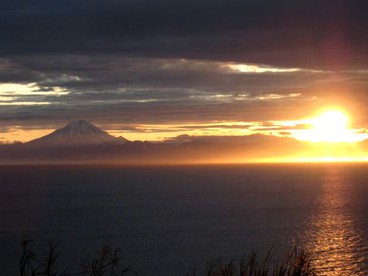 undefined photo 4