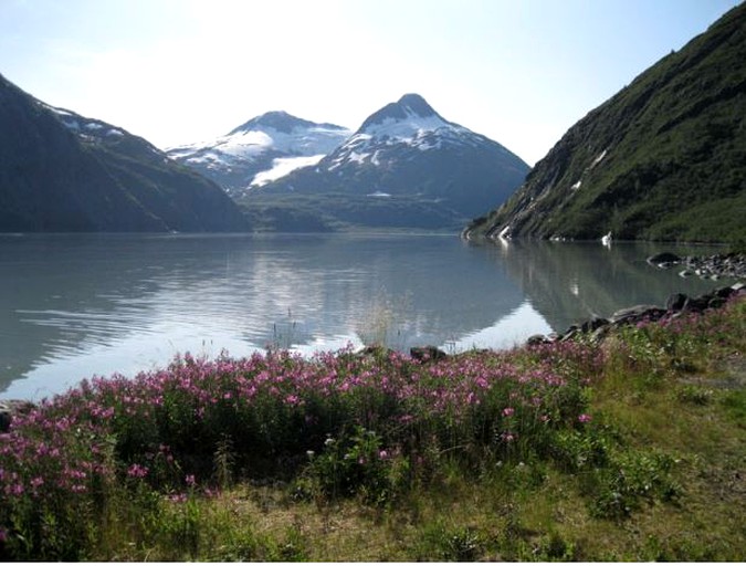 Cabins (Clam Gulch, Alaska, United States)