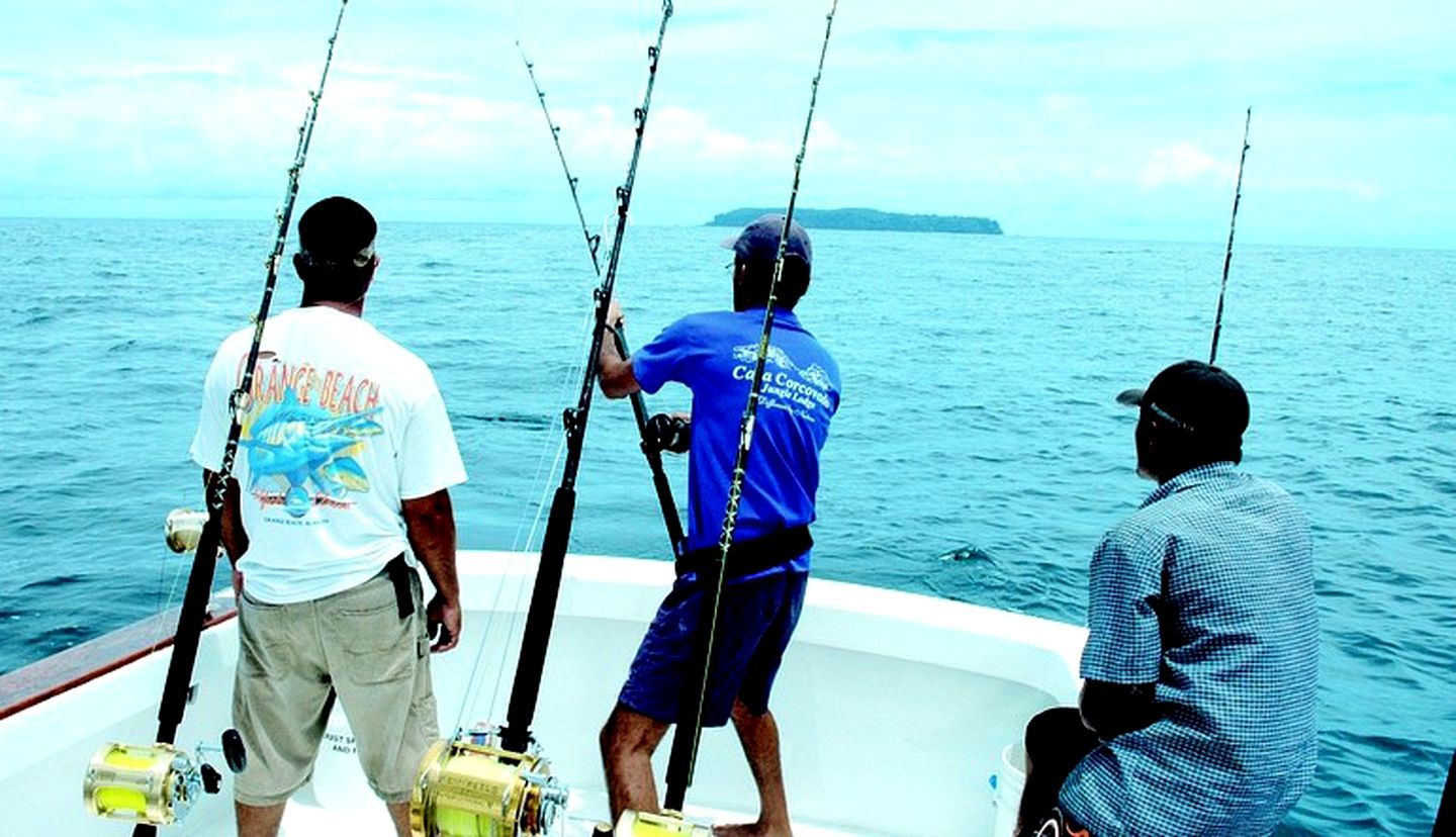 Luxury Cabins in the Pristine Rainforest of Drake Bay, Costa Rica