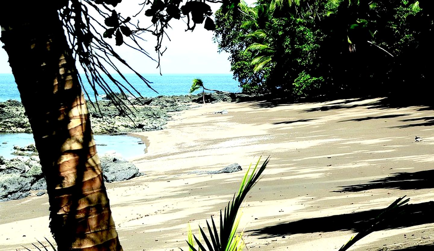 Luxury Cabins in the Pristine Rainforest of Drake Bay, Costa Rica