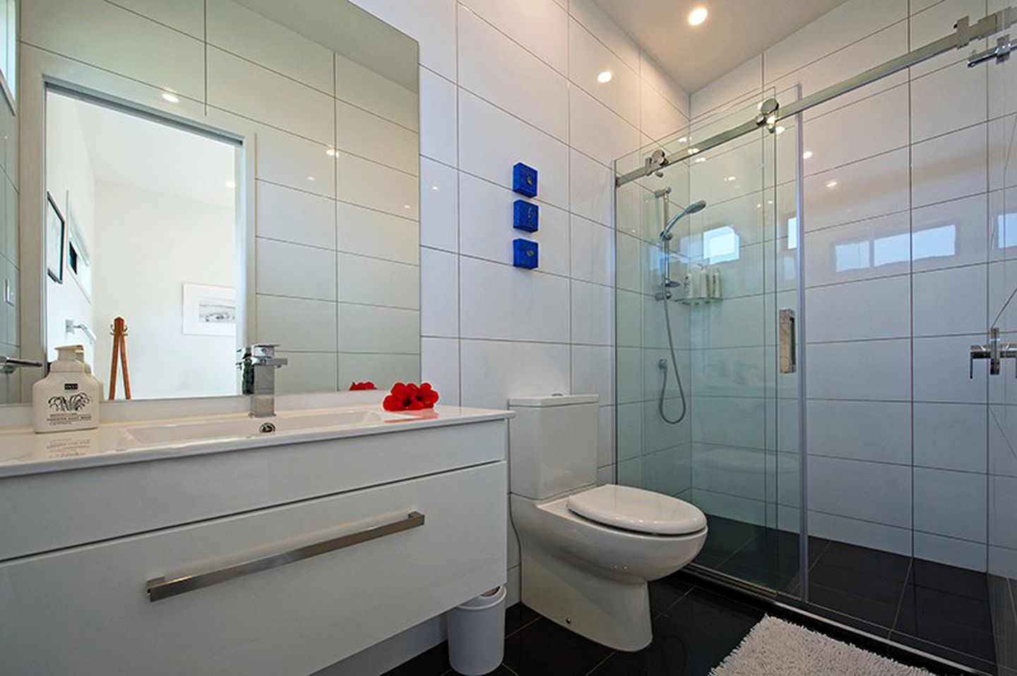 Two-Bedroom Luxury Vacation Rental with Vineyard Views near Auckland, New Zealand