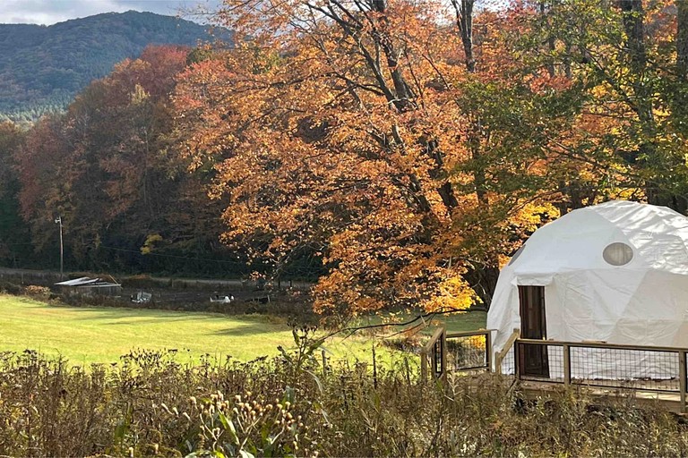 Domes (United States of America, Creston, North Carolina)