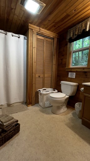 Cabins (United States of America, Bruceton Mills, West Virginia)