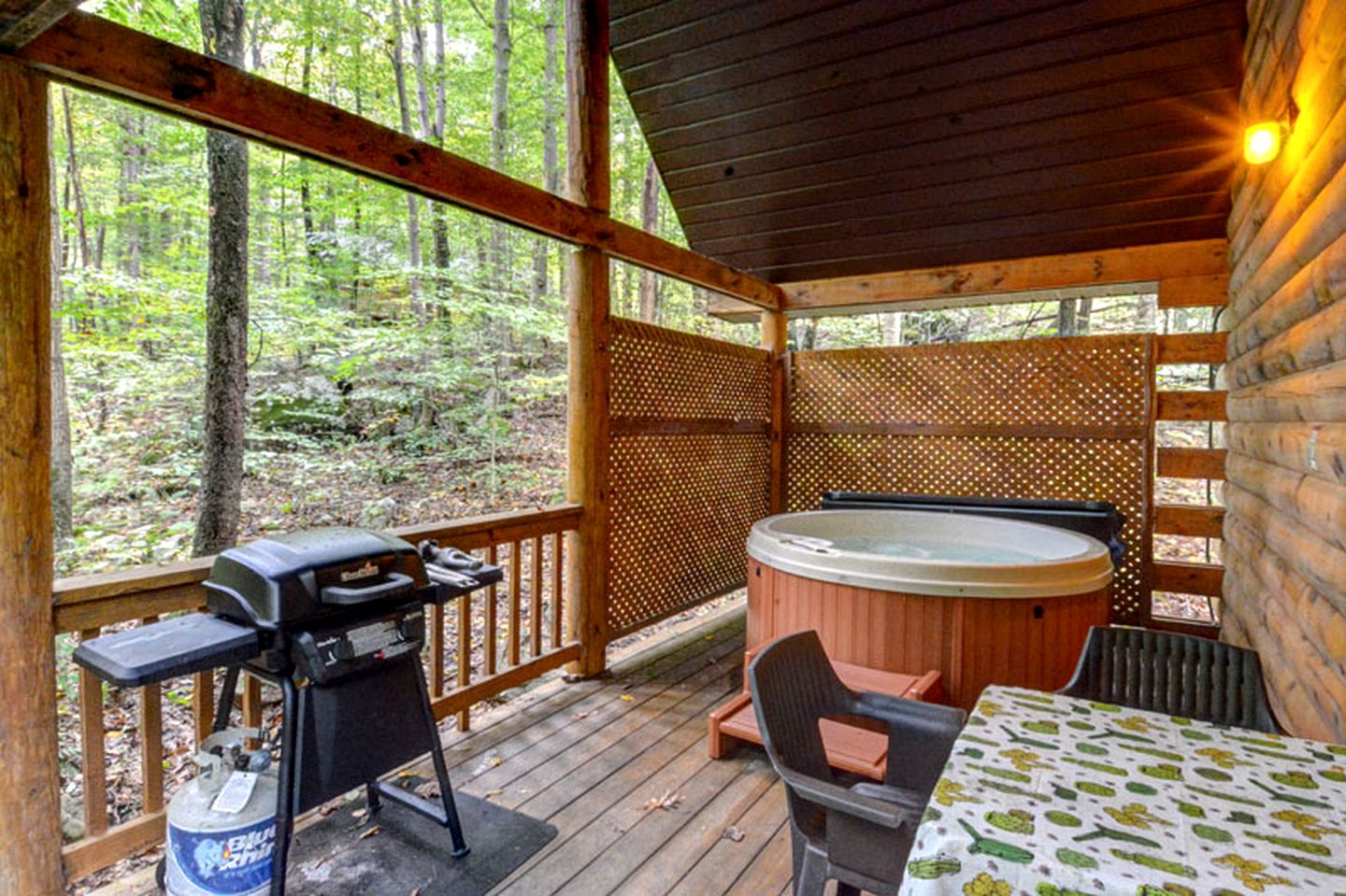 Peaceful Cabin with Hot Tub and Fire Pit in Bruceton Mills, West Virginia