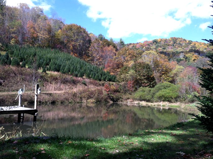 Cabins (Newland, North Carolina, United States)