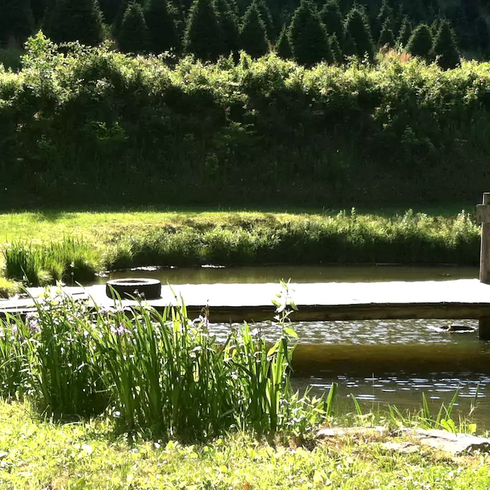 Secluded Family-Friendly Cabin Rental on 90 Acres in Newland, North Carolina