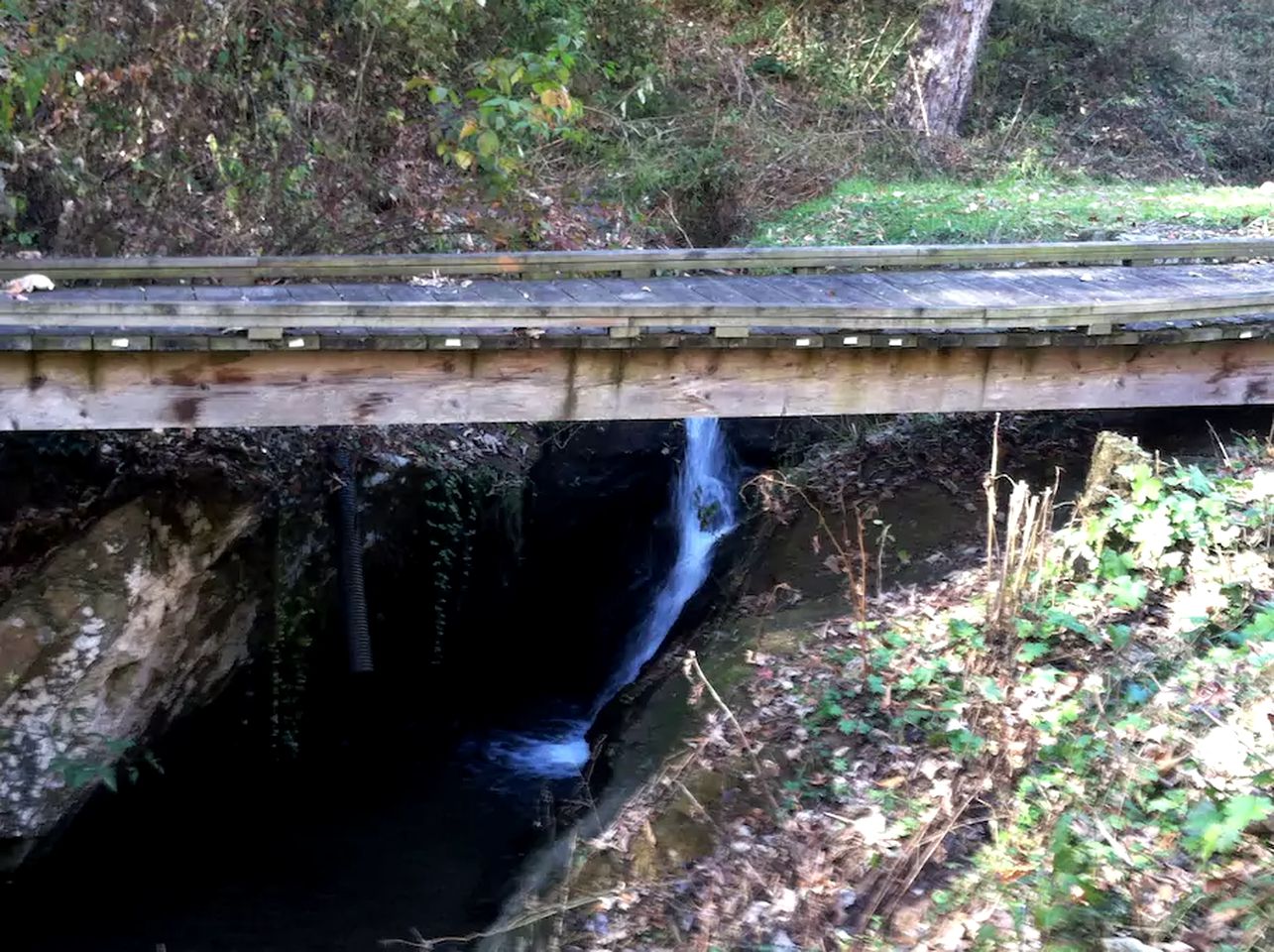 Secluded Family-Friendly Cabin Rental on 90 Acres in Newland, North Carolina