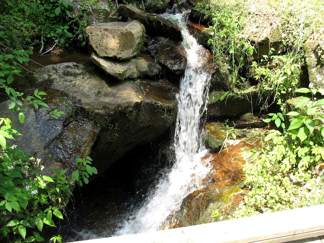 Secluded Family-Friendly Cabin Rental on 90 Acres in Newland, North Carolina