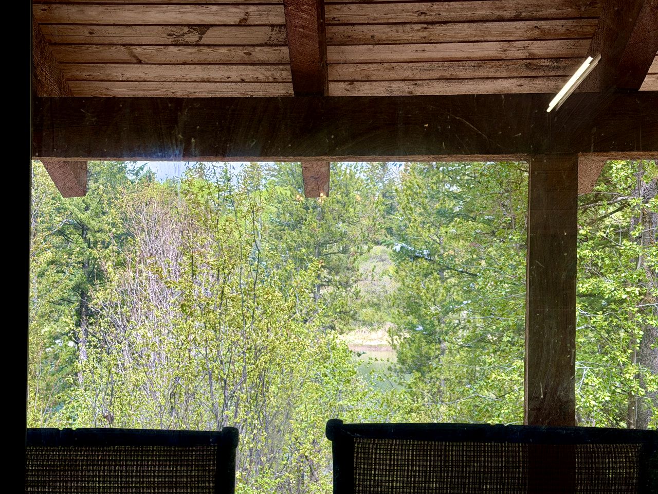 Peaceful Historic Cabins with Stocked Lake & Outdoor Adventures near Swan Valley, Idaho