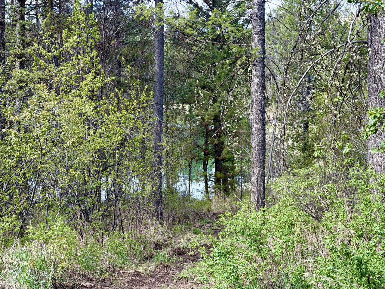 Peaceful Historic Cabins with Stocked Lake & Outdoor Adventures near Swan Valley, Idaho