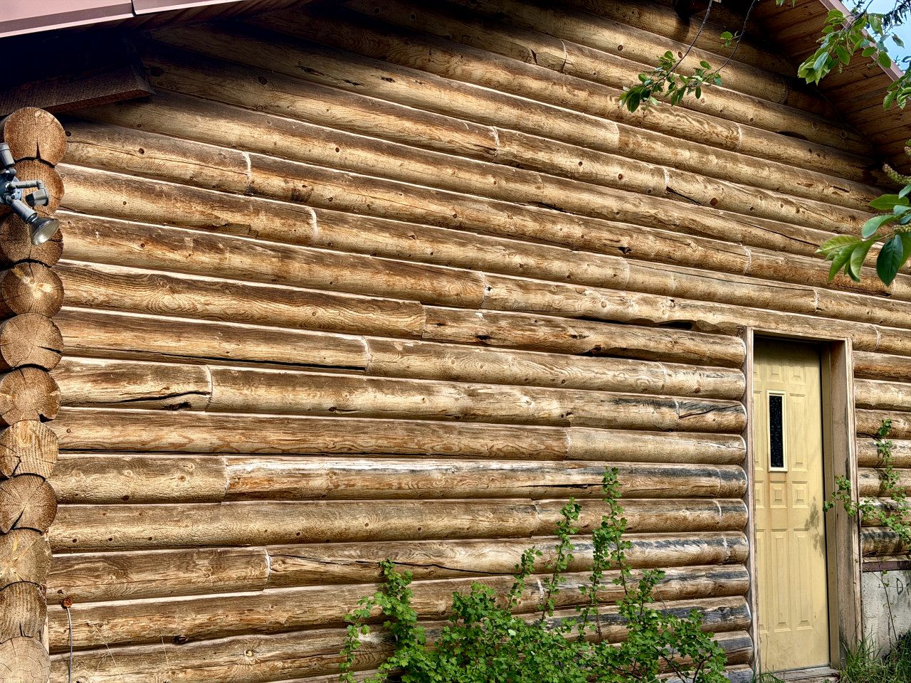 Peaceful Historic Cabins with Stocked Lake & Outdoor Adventures near Swan Valley, Idaho