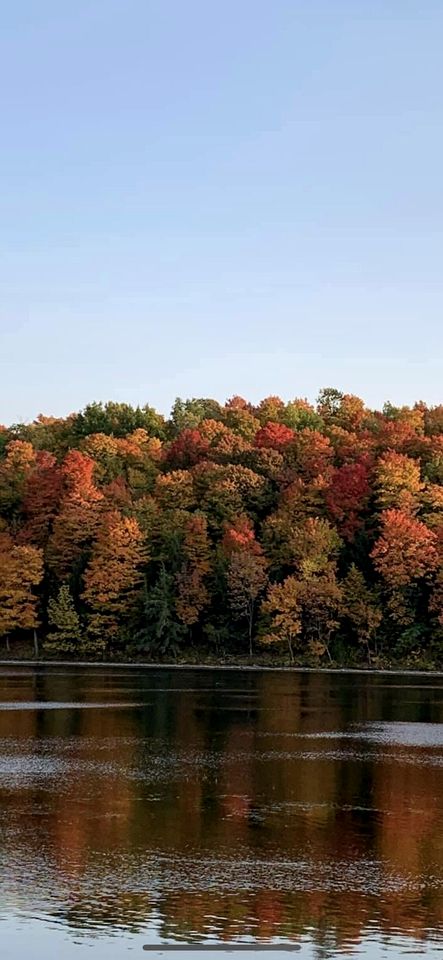 Amazing Lakefront Cabin with All Amenities in Carthage, Fort Drum