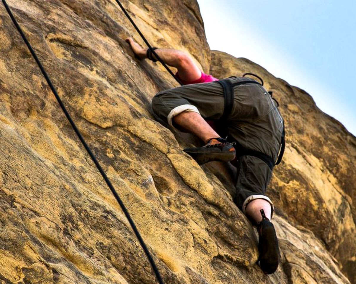 Unique Campervans for Rent with Outdoor Showers and Bike Racks in Los Angeles, California