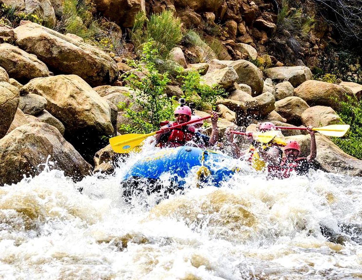 Unique Campervans for Rent with Outdoor Showers and Bike Racks in Los Angeles, California