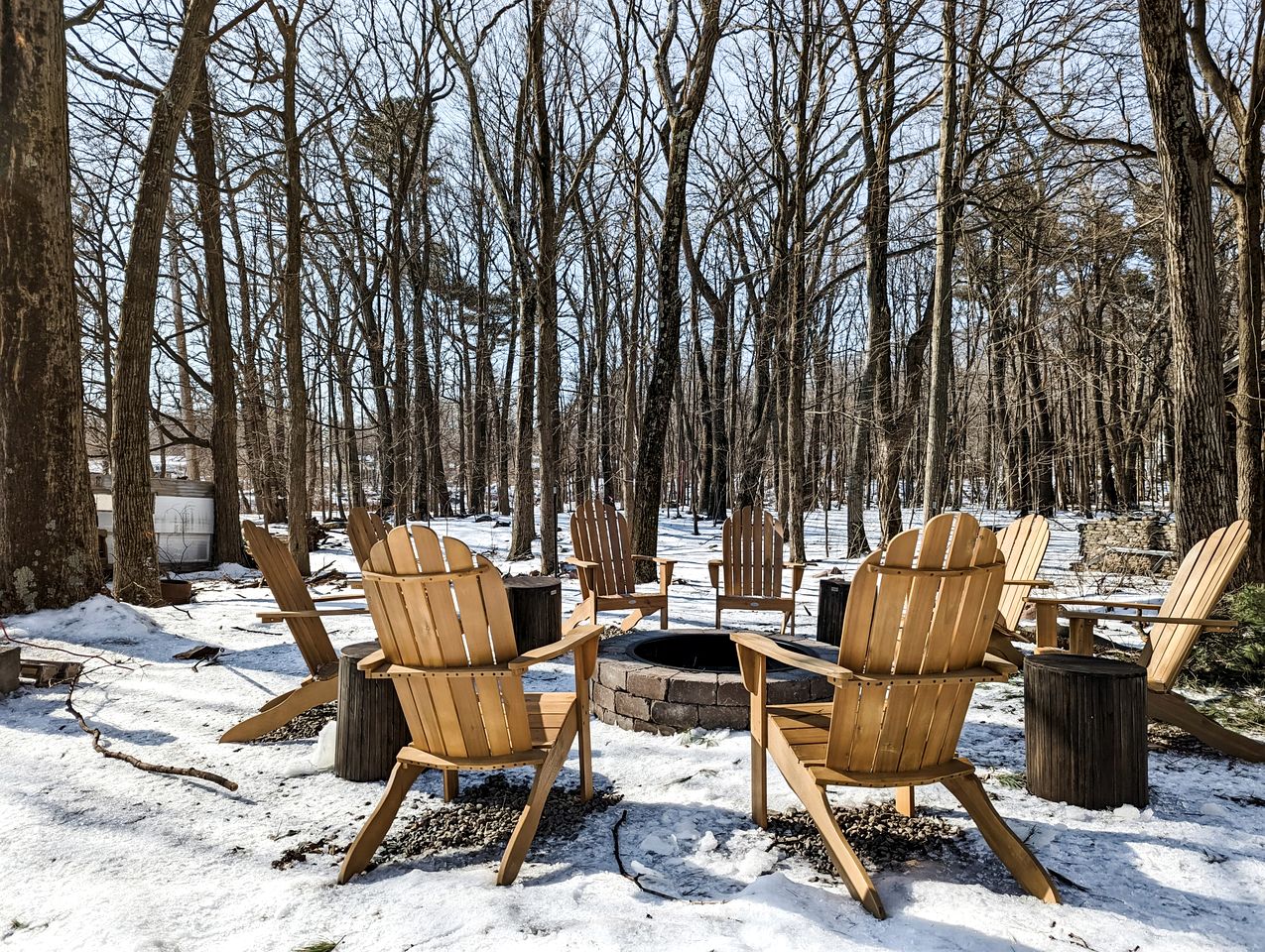 Family-Friendly Cabin with Fire Pit Nestled Among Nature in NY