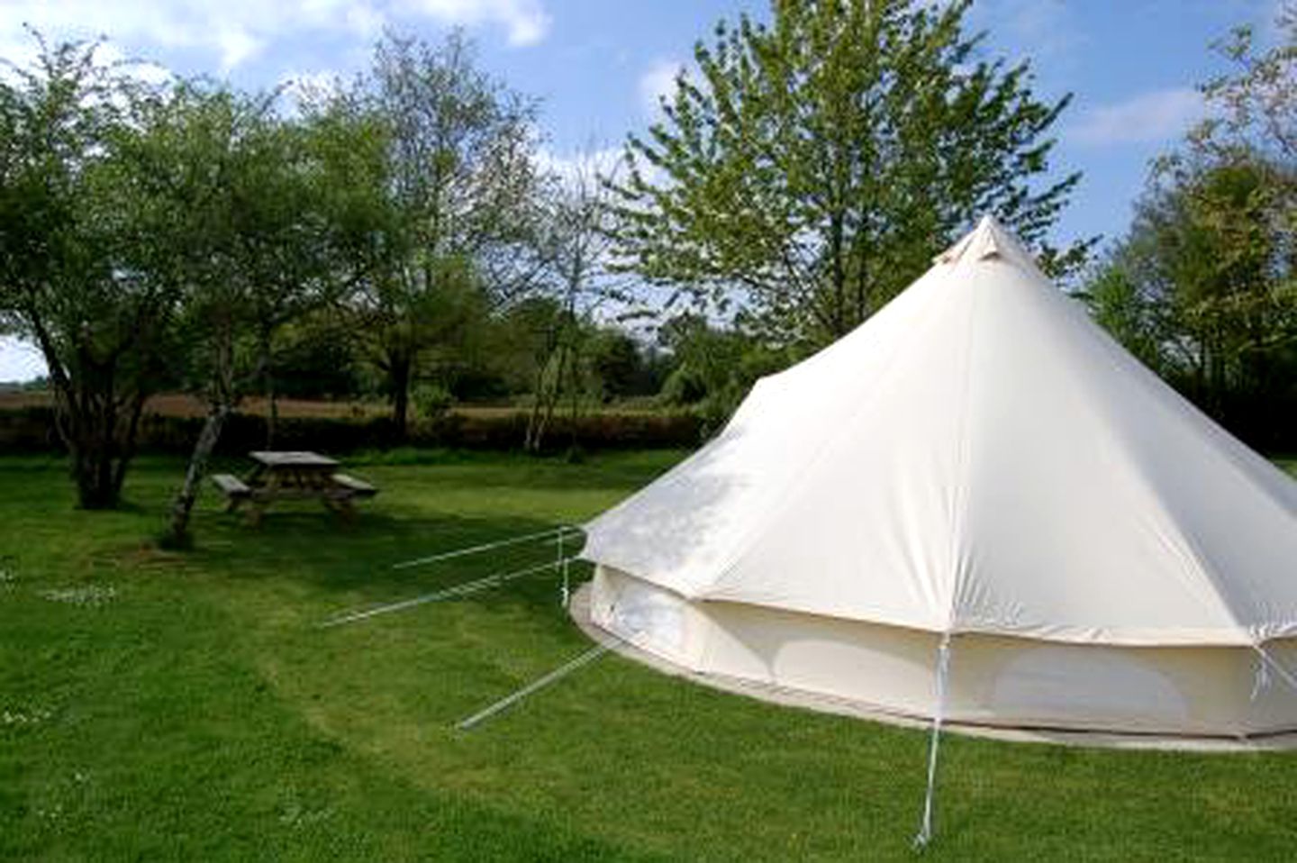 Luxury Bell Tent Rental with Outdoor Pool near Cognac, France