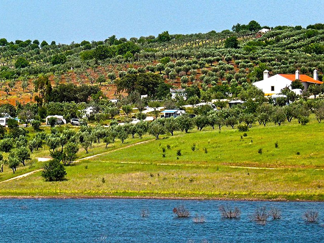 Lakeside Bell Tent Rental Amid Olive Tree Fields near Estremoz, Portugal