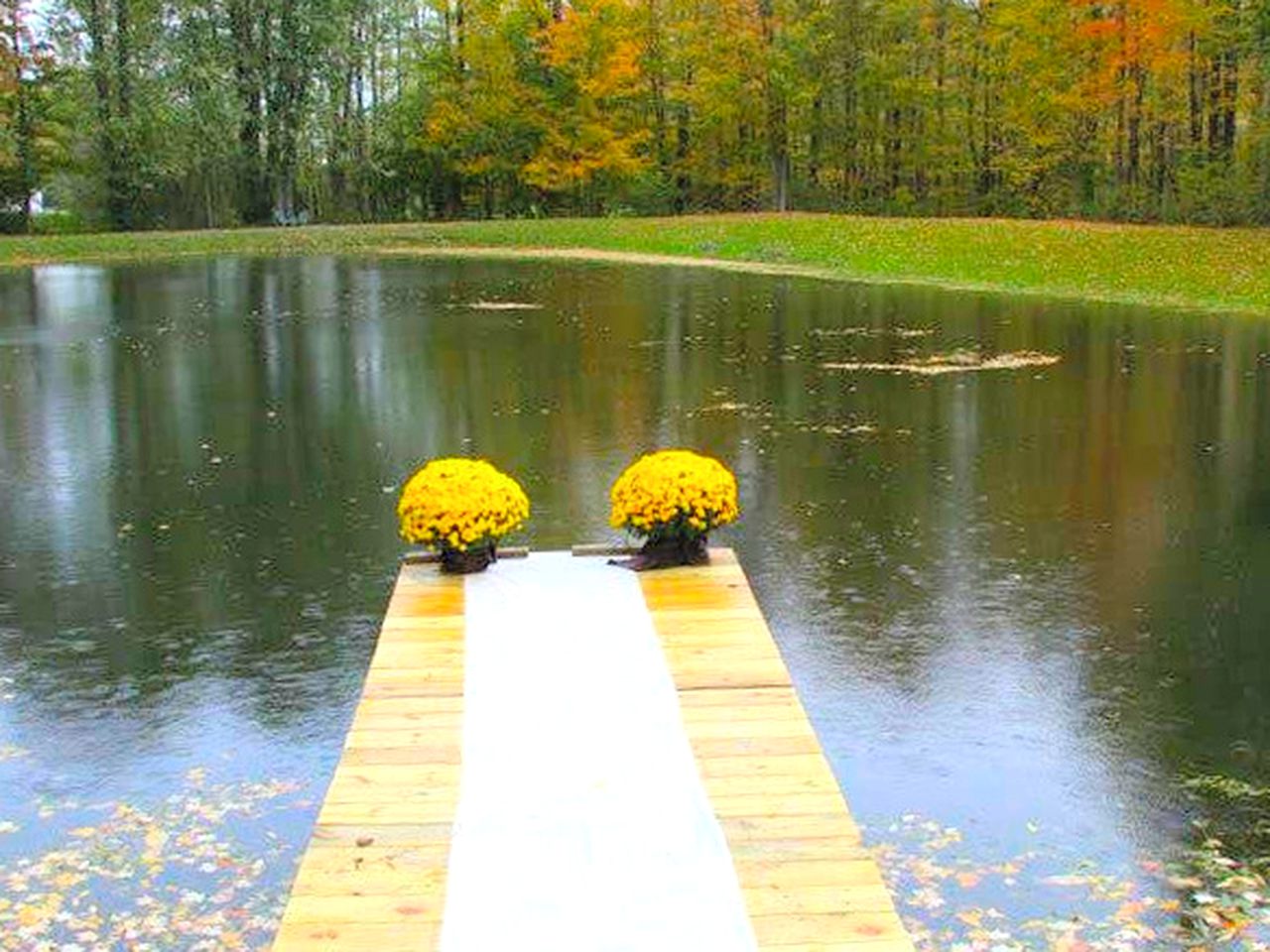 Glamping Campsite Perfect for a Group Getaway near the Finger Lakes of New York