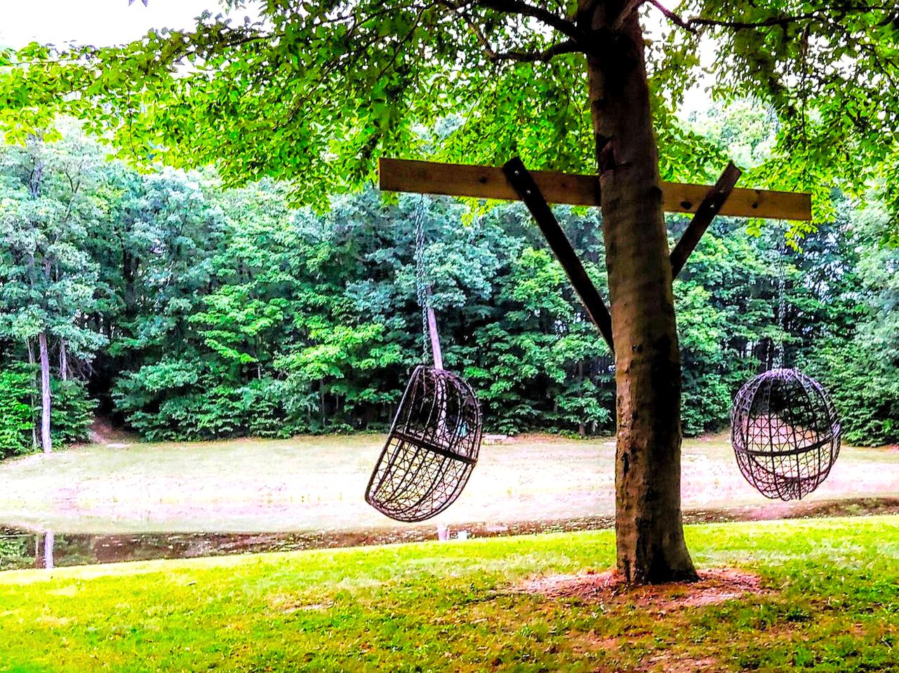 Glamping Campsite Perfect for a Group Getaway near the Finger Lakes of New York