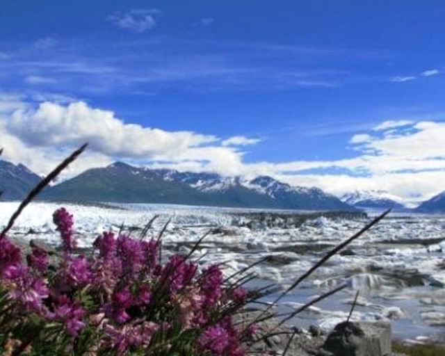 Vacation Rentals (Palmer, Alaska, United States)