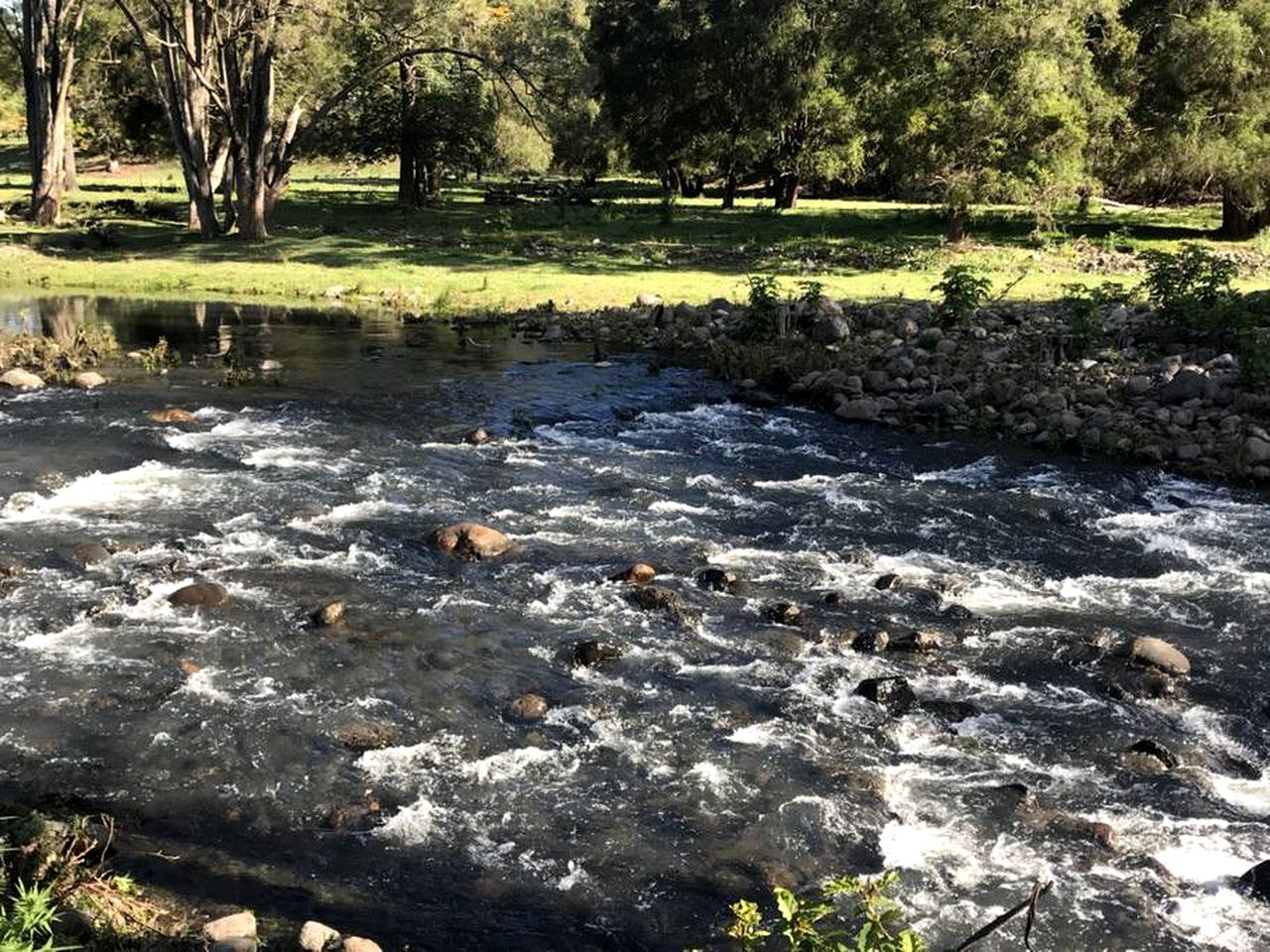 Charming Cabin with Swimming Holes near Lamington National Park, Queensland