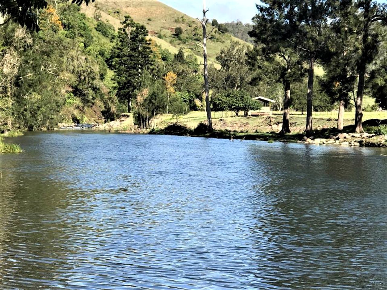 Charming Cabin with Swimming Holes near Lamington National Park, Queensland