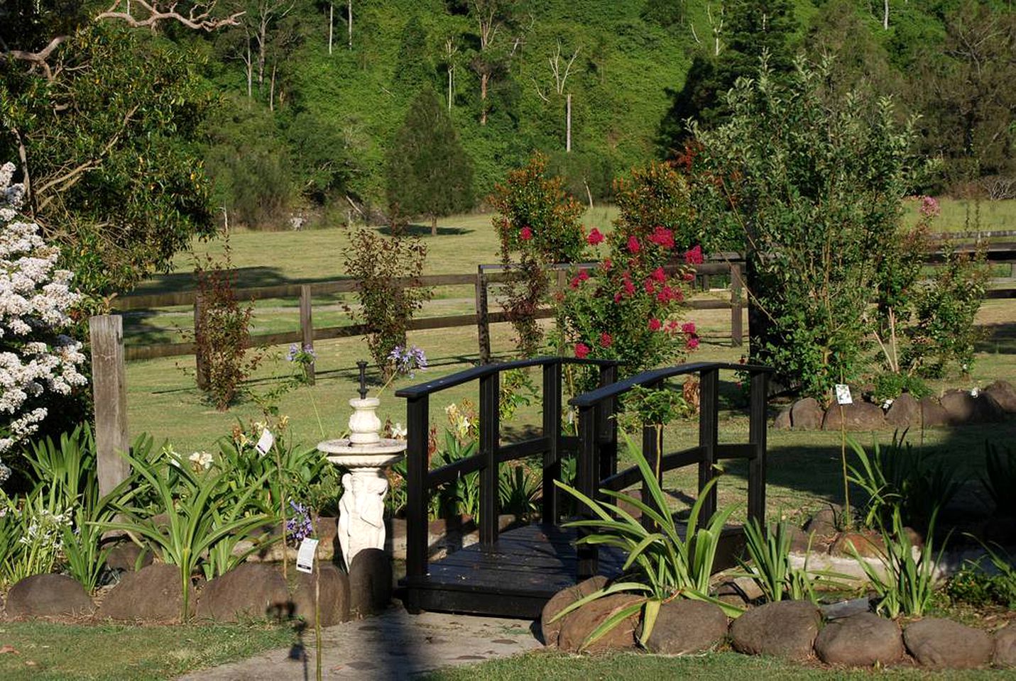 Charming Cabin with Swimming Holes near Lamington National Park, Queensland