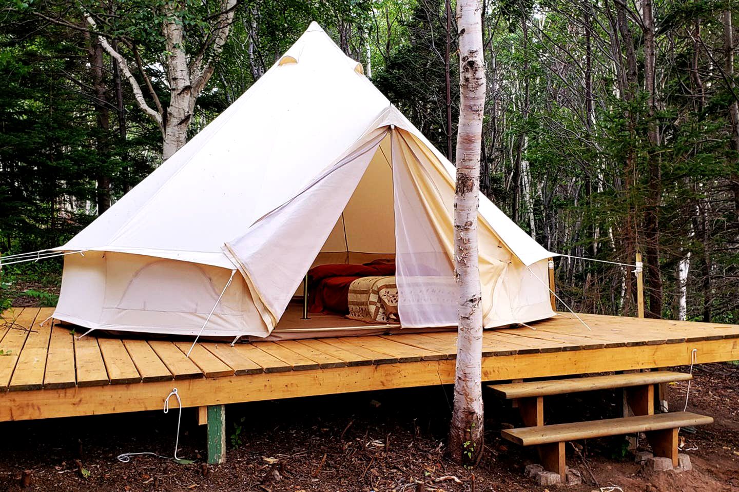 Wonderful Glamping Experience in the Woods of Pleasant Bay in Nova Scotia