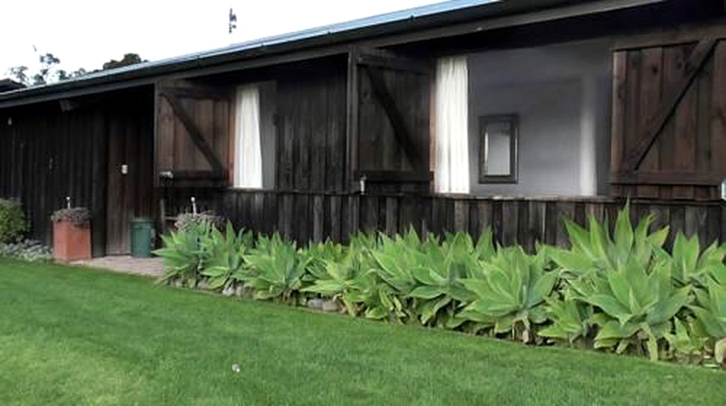 Luxurious Bed and Breakfast Suite with Pool in Hawke's Bay, New Zealand | Nature Lodges (Masterton, North Island, New Zealand)