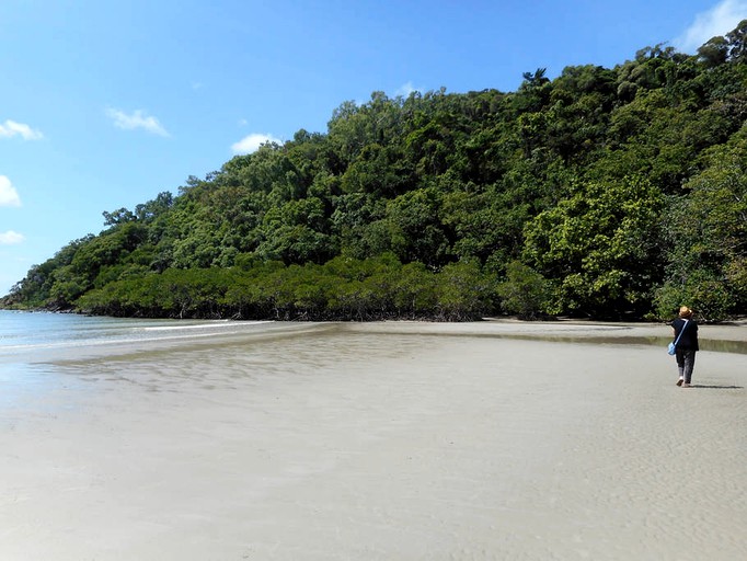 Bubbles & Domes (Cape Tribulation, Queensland, Australia)