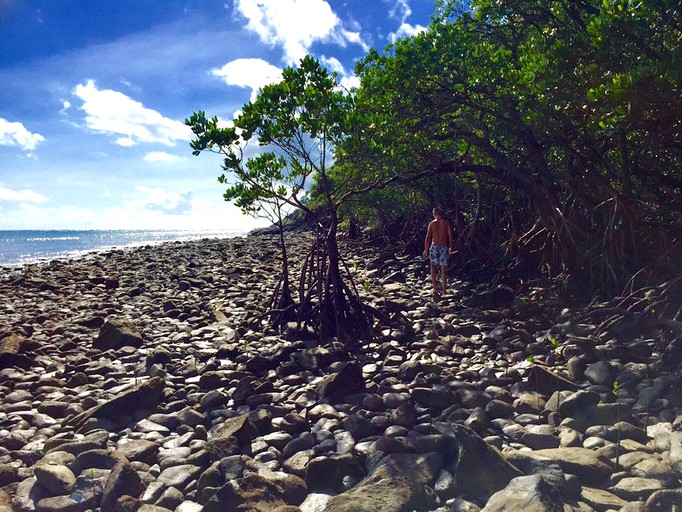 Bubbles & Domes (Cape Tribulation, Queensland, Australia)