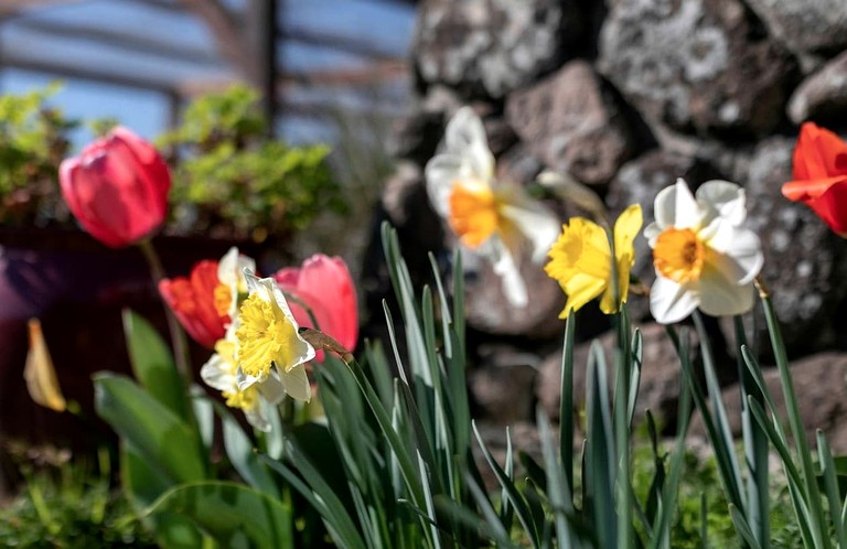 Vacation Rentals (United States of America, Stinson Beach, California)