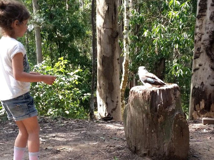 Log Cabins (Main Creek, New South Wales, Australia)