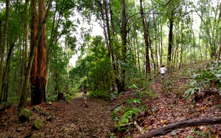 Log Cabins (Main Creek, New South Wales, Australia)