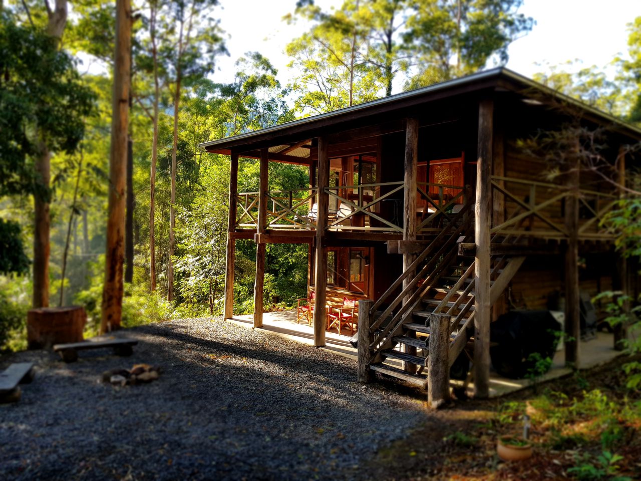 Tree House-Style Log Cabin near Barrington Tops National Park, New South Wales