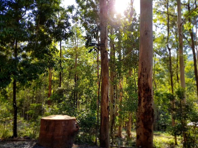 Log Cabins (Main Creek, New South Wales, Australia)