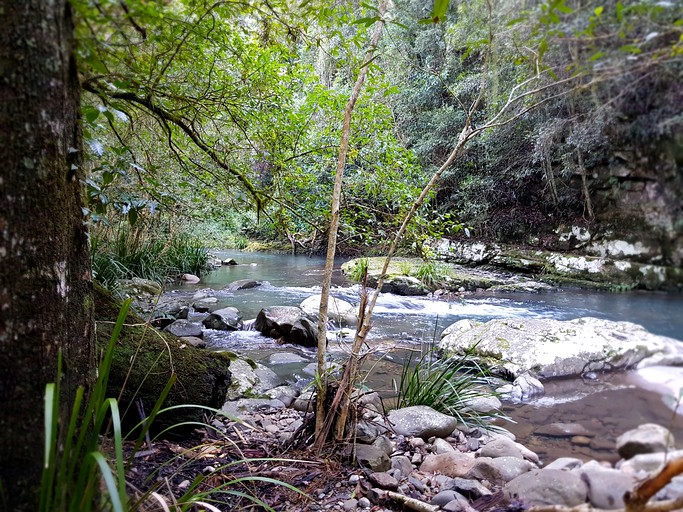 Log Cabins (Main Creek, New South Wales, Australia)