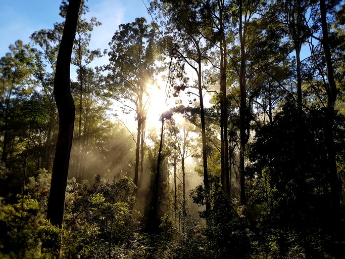 Log Cabins (Main Creek, New South Wales, Australia)