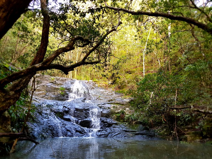 Log Cabins (Main Creek, New South Wales, Australia)