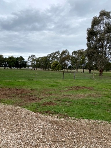 Tiny Houses (Australia, Cardigan, Victoria)