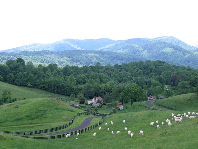 Barns (Sperryville, Virginia, United States)