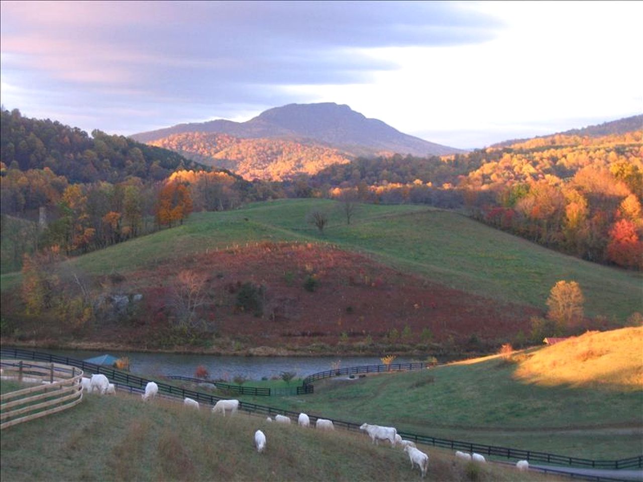 Lovely Cottage on Farm near Shenandoah National Park, Virginia