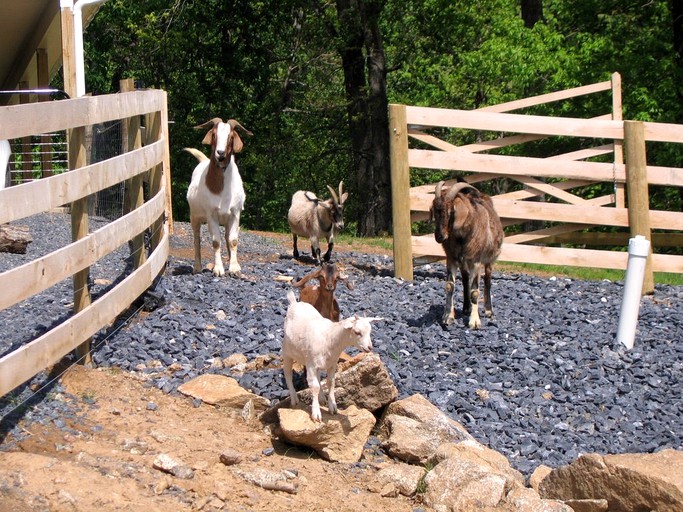 Cabins (Sperryville, Virginia, United States)