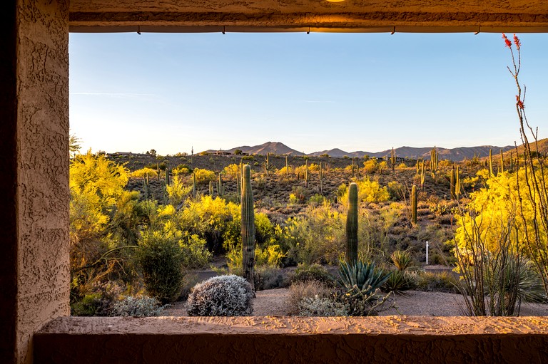 Vacation Rentals (United States of America, Scottsdale, Arizona)