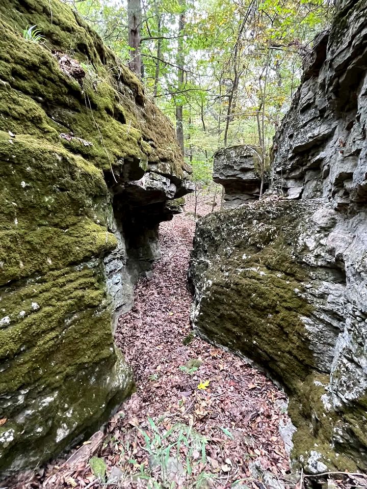 Secluded Riverfront Cabin with Scenic Bluffs near Fayetteville, Arkansas